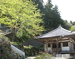 大師寺遠景